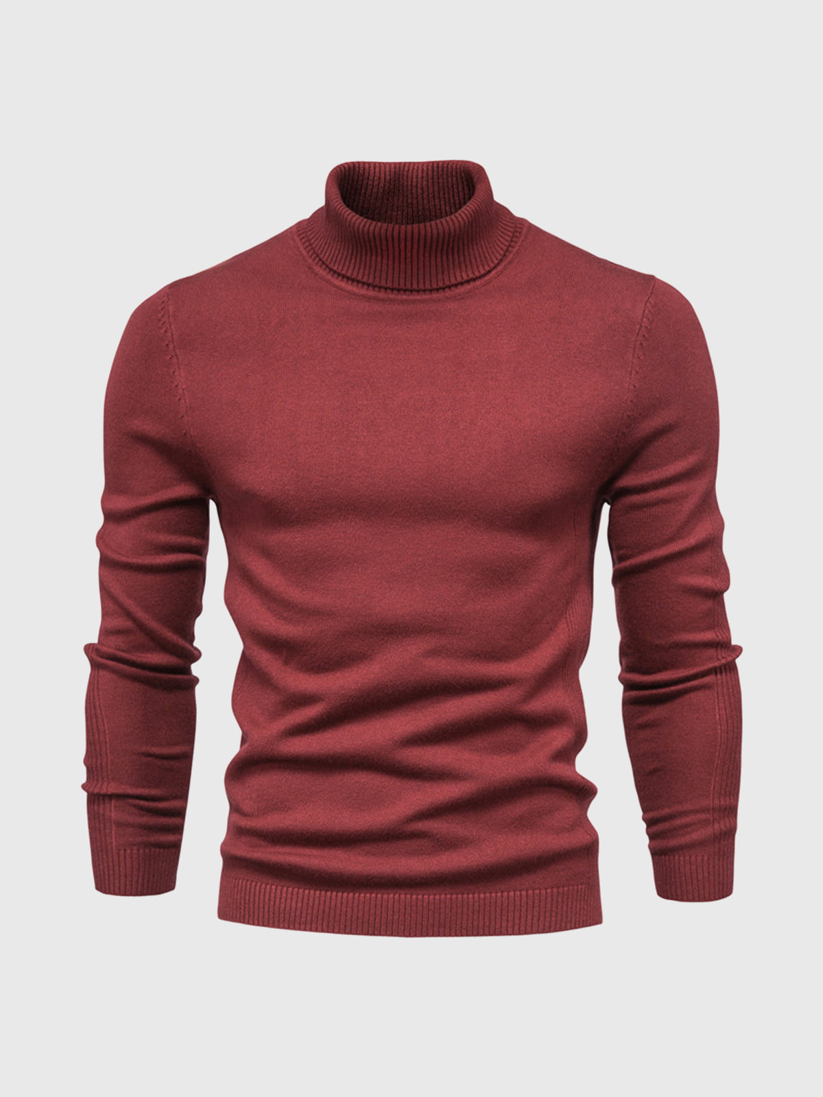 Men's Sweater | Turtleneck Regular Fit