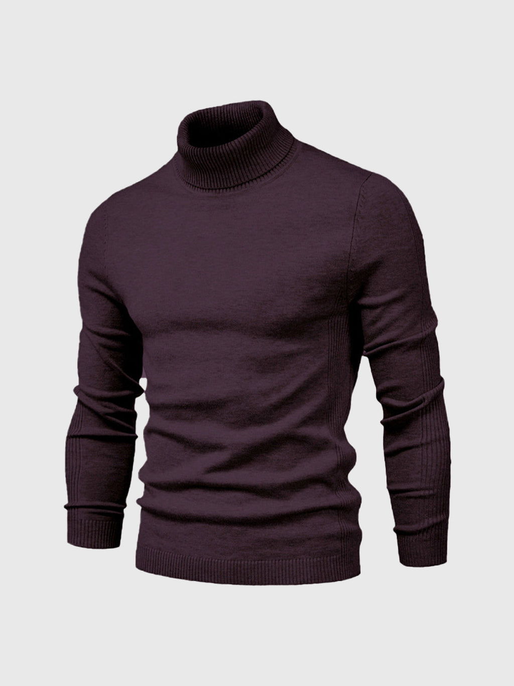 Men's Sweater | Turtleneck Regular Fit