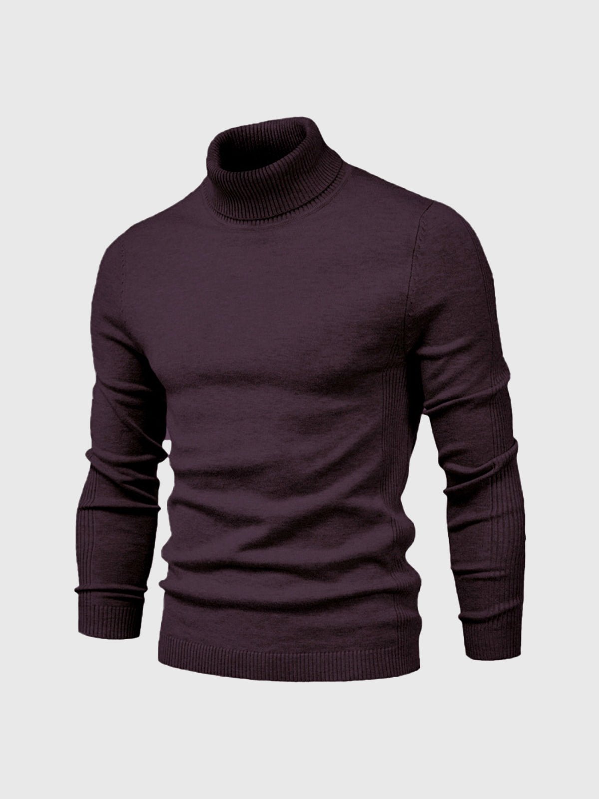 Men's Sweater | Turtleneck Regular Fit