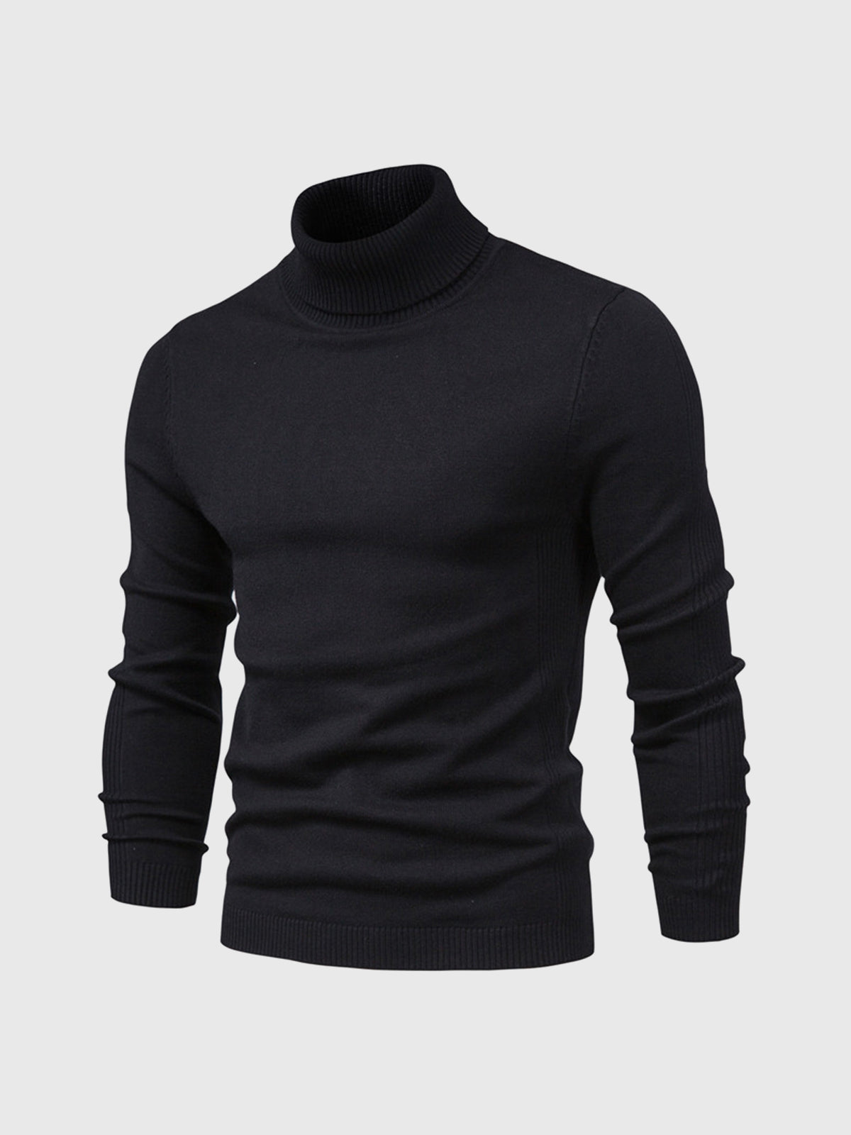 Men's Sweater | Turtleneck Regular Fit
