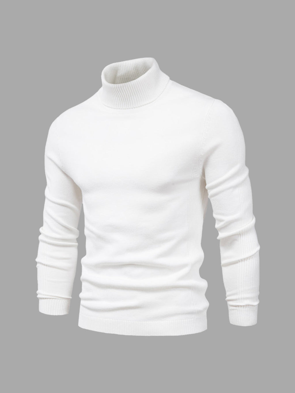 Men's Sweater | Turtleneck Regular Fit
