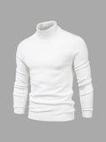 Men's Sweater | Turtleneck Regular Fit