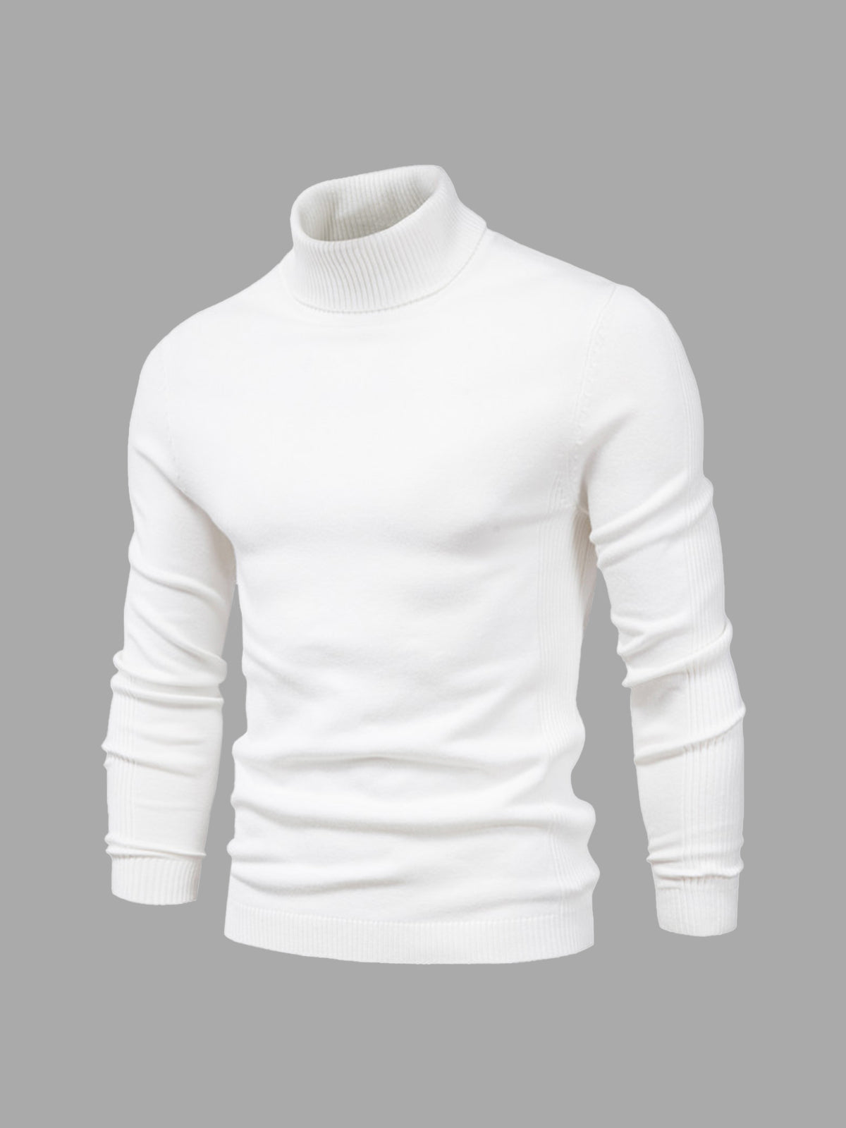 Men's Sweater | Turtleneck Regular Fit