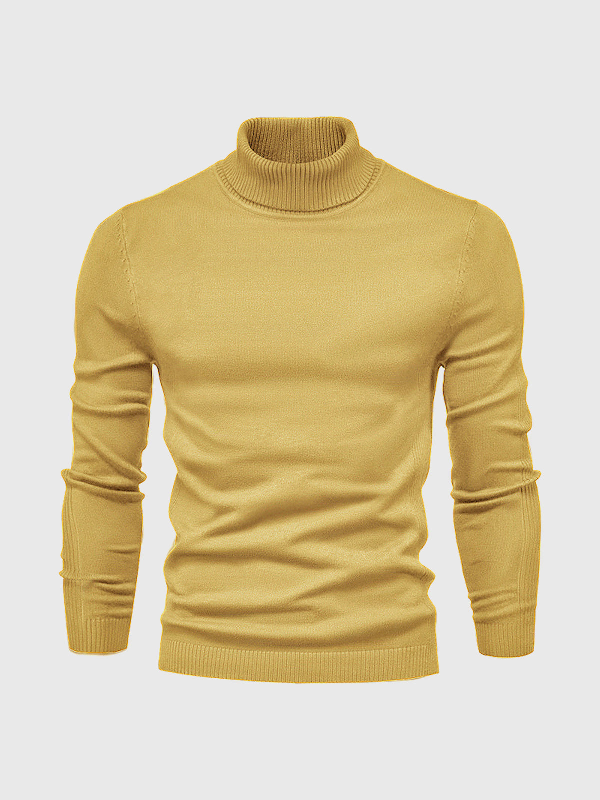 Men's Sweater | Turtleneck Regular Fit