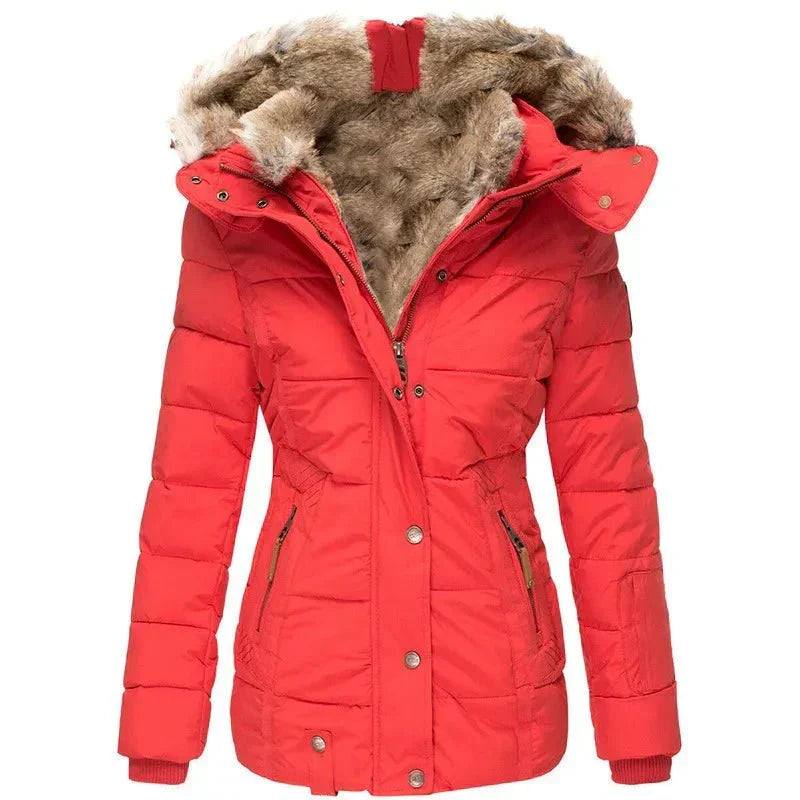 Fitted Lined Hood Winter Jacket for Women | Cold Weather Wear