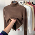 Lined High Collar Turtleneck Pullover Sweater with Long Sleeves for Women